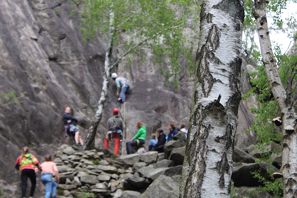 Schüler:innen des NIG klettern an der Marienwand im Okertal